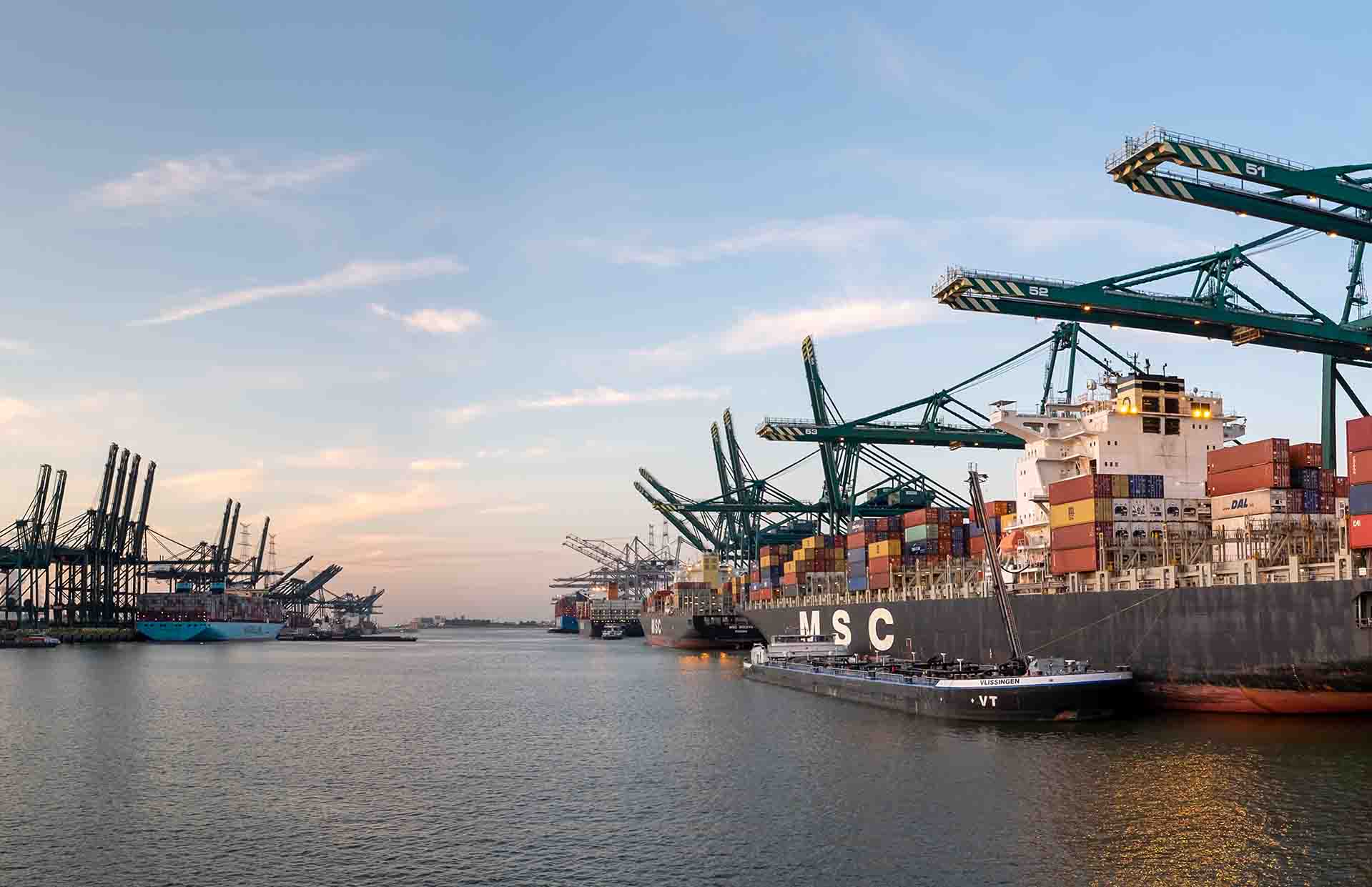 MSC increases rates from India and Pakistan to Antwerp and Valencia Alfa logistic Family